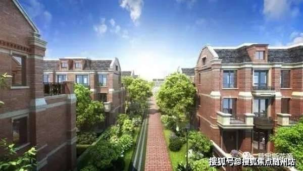 最新双簧深度解析，优劣探讨与个人观点分享