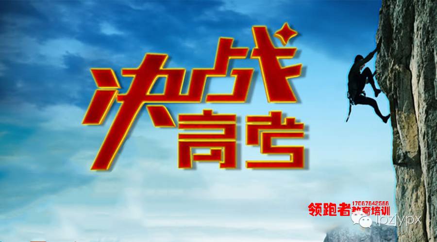 驾驭最新神马，开启无限可能之旅