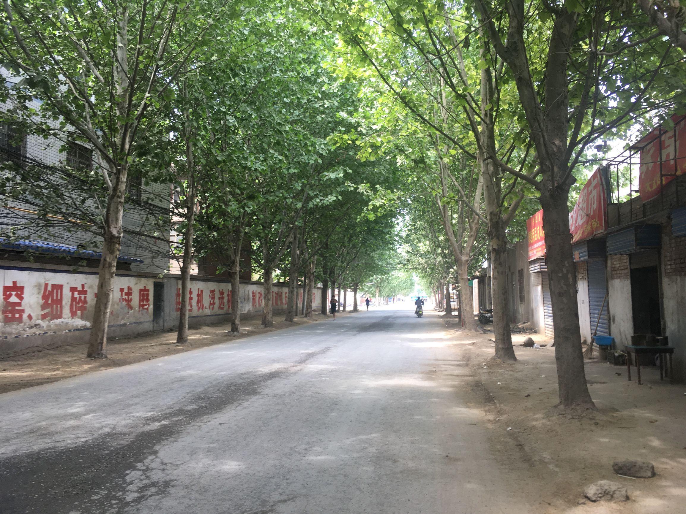 中原新区最新动态详解，步骤指南与最新消息速递