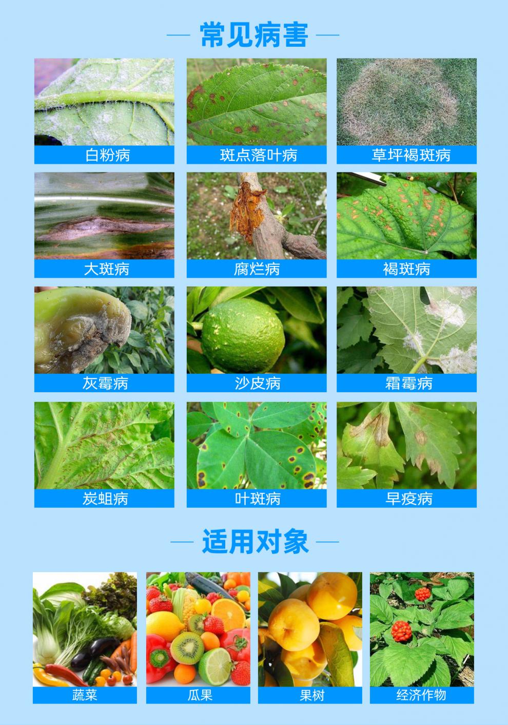 最新杀菌剂大全，守护植物宝宝健康的秘籍