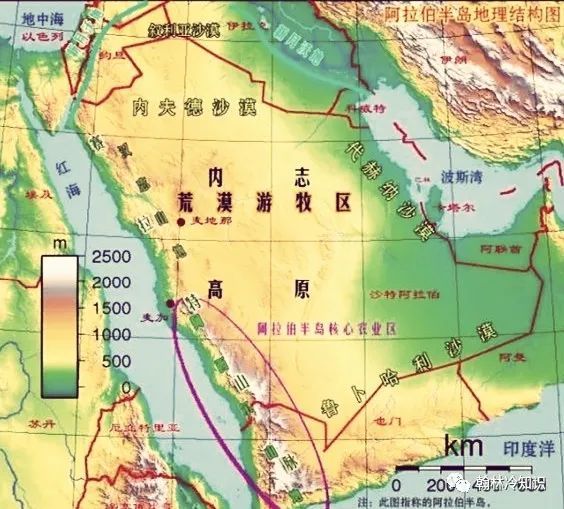 沙特阿拉伯最新资讯，沙漠中的日常温馨