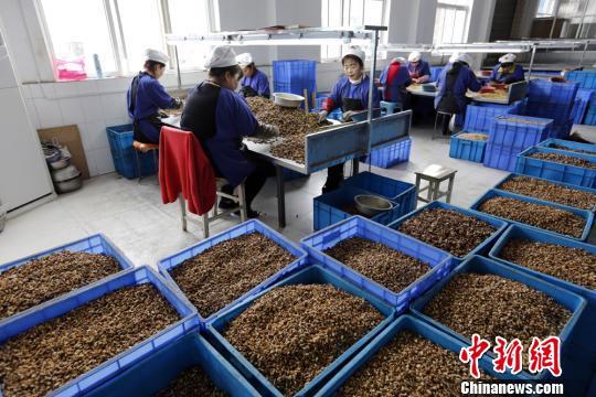 成县最新新闻回顾，时代变迁中的发展脉络