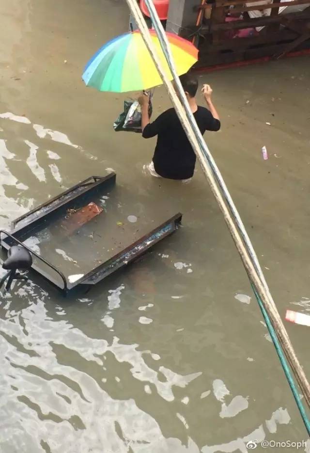 6号台风最新动态及小巷特色小店大揭秘，独特风味与隐藏版魅力的探索