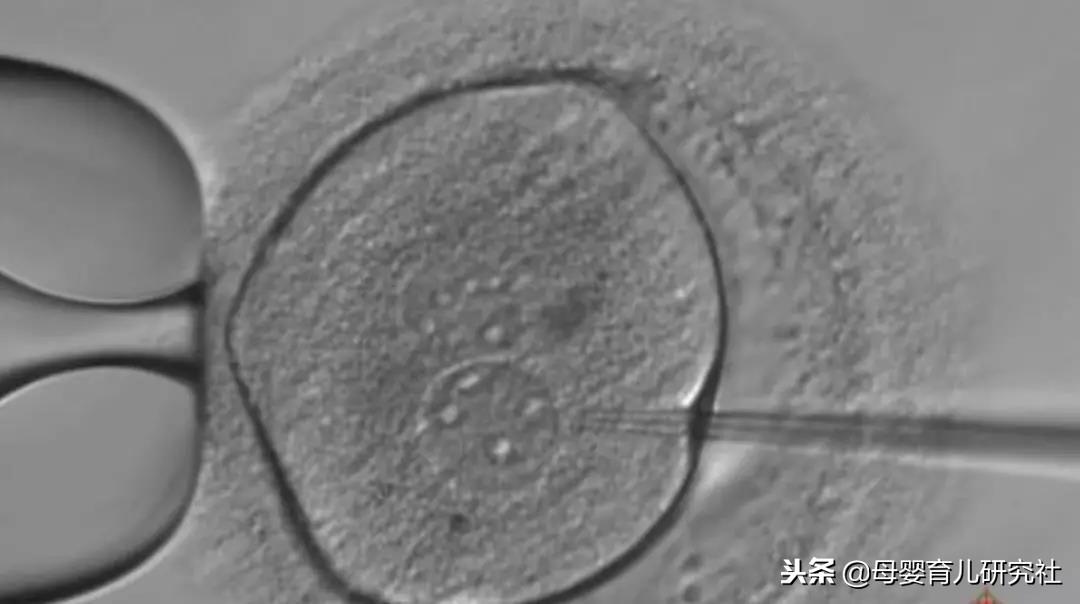 艾滋病最新进展，变化带来希望，学习赋予力量