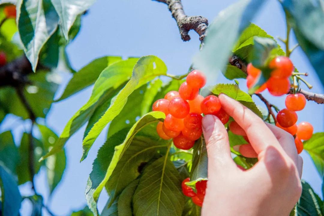 成都新闻网最新消息热议小红书中！