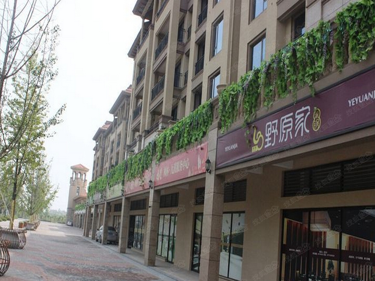 枫林九溪房子最新动态，独特小巷风情成焦点