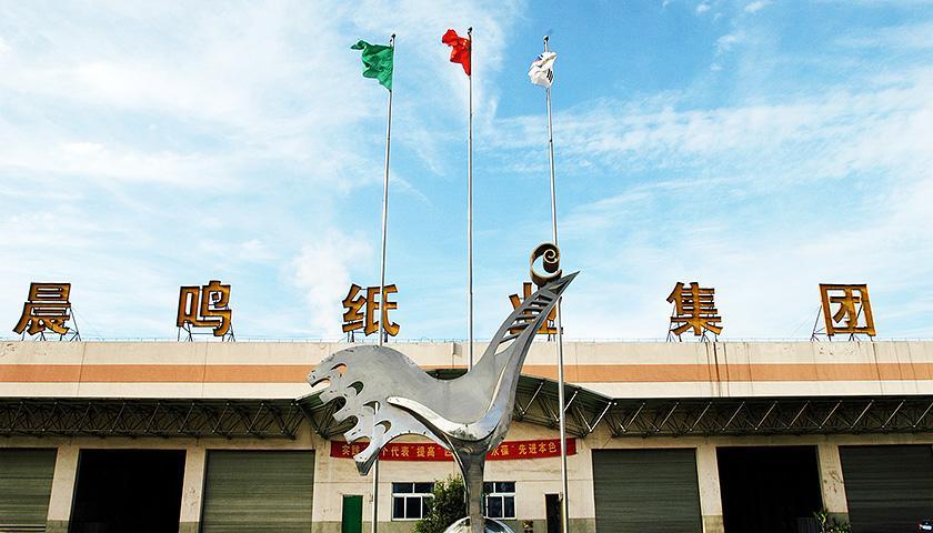 湛江晨鸣纸业最新动态更新,最新消息汇总