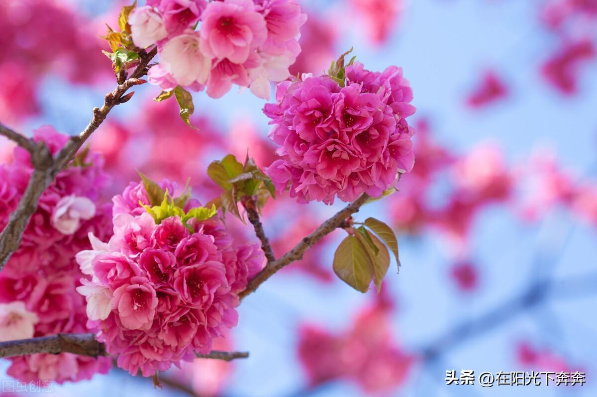 最新动态更新/最新消息 第2页