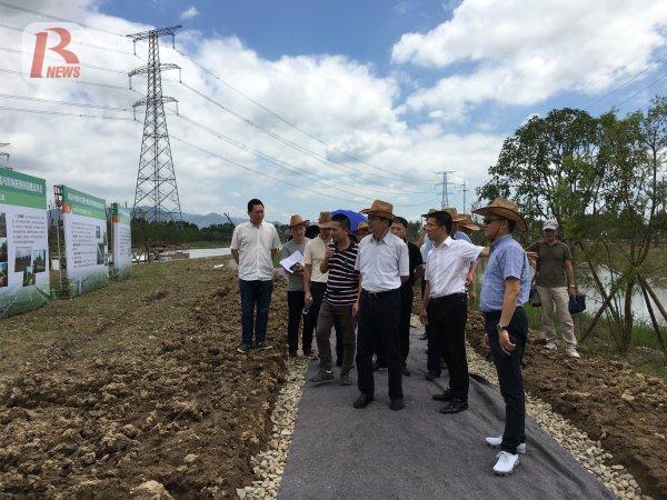 瑞安滨海新区最新动态更新,最新消息汇总