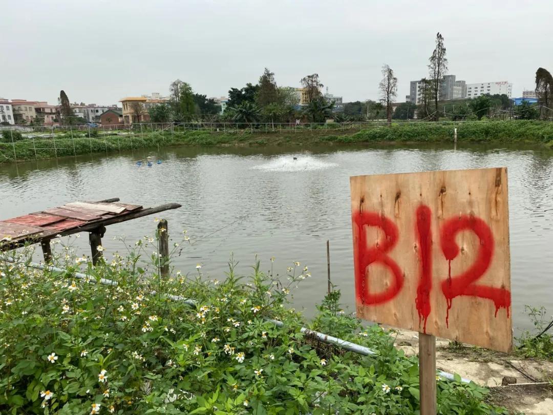 🌟芜湖元亩塘最新动态🌟