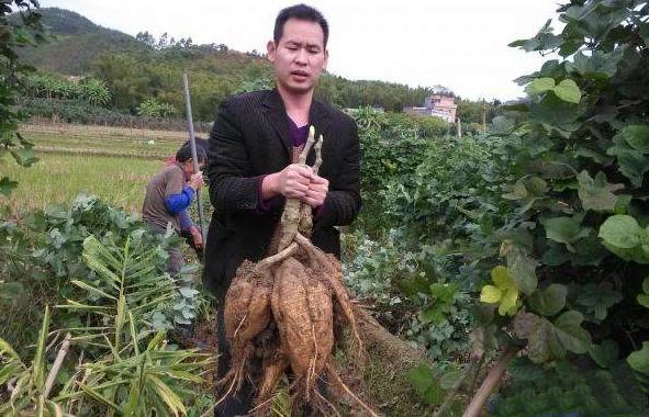 🌟芜湖元亩塘最新动态🌟