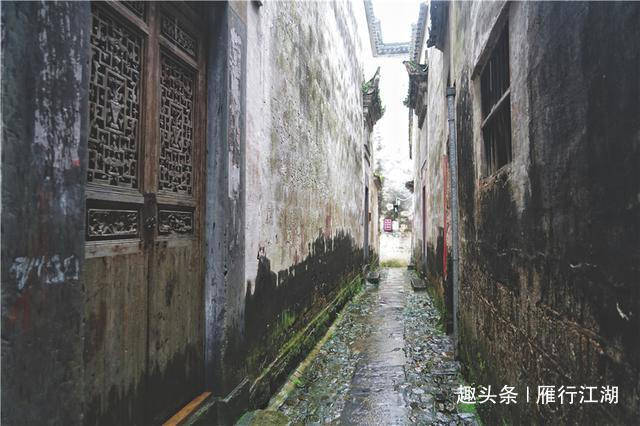 沪七条最新揭秘,巷弄深处的隐藏瑰宝