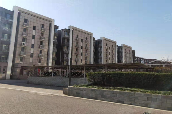 东郊惠泽园最新进展揭秘