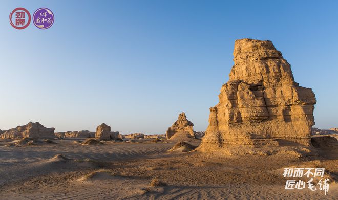 最新熏艾,绿色之旅,寻找内心平静的旅程
