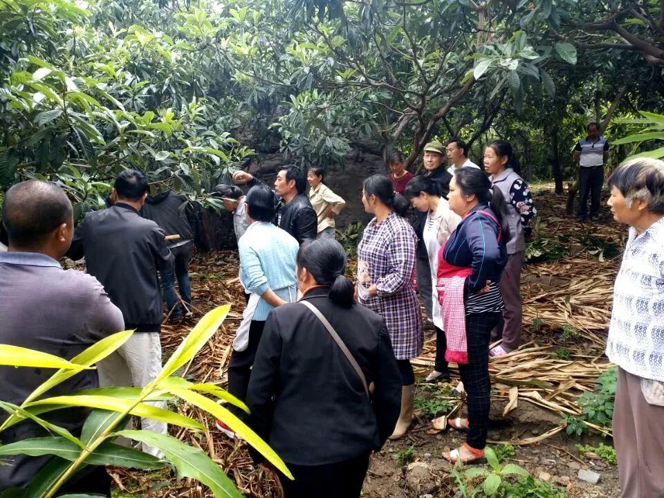 大兴楼盘最新动态，科技重塑未来居住体验
