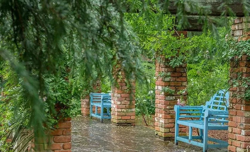 探索小巷中的隐藏宝藏,最新qx模块与别具一格的特色小店