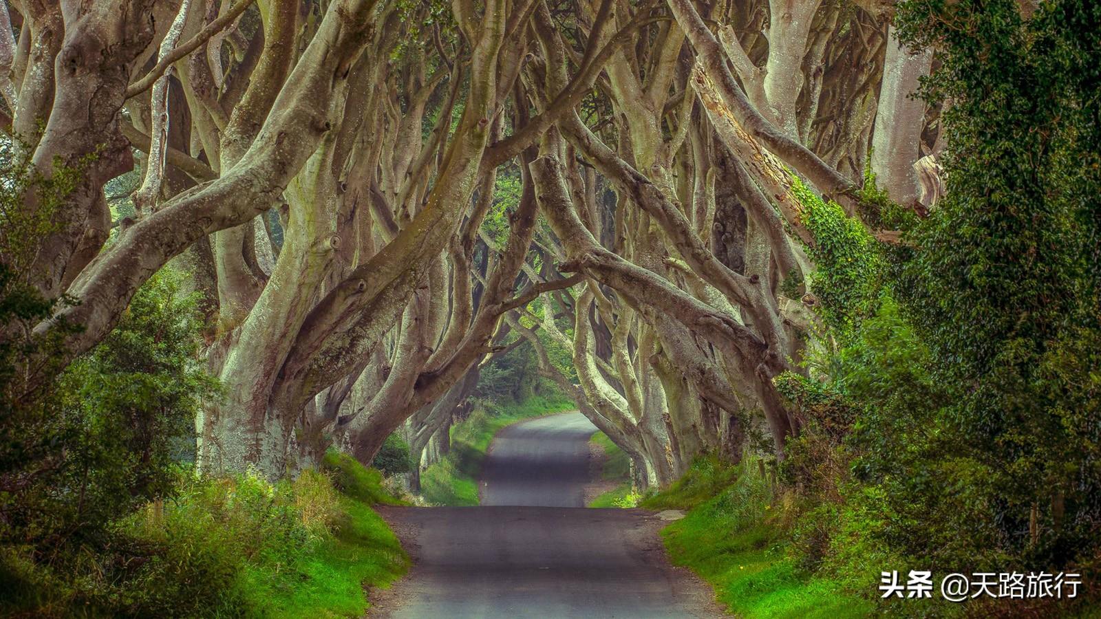 暗黑照最新,光与影的温馨日常记录