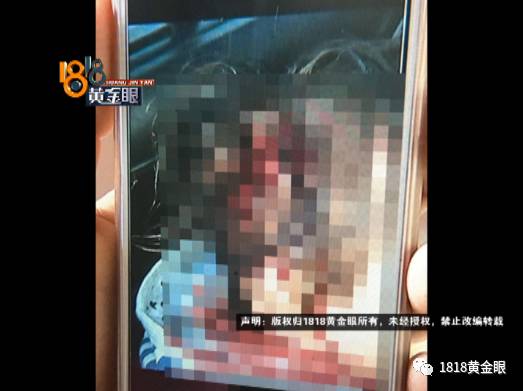 栖凫最新动态更新