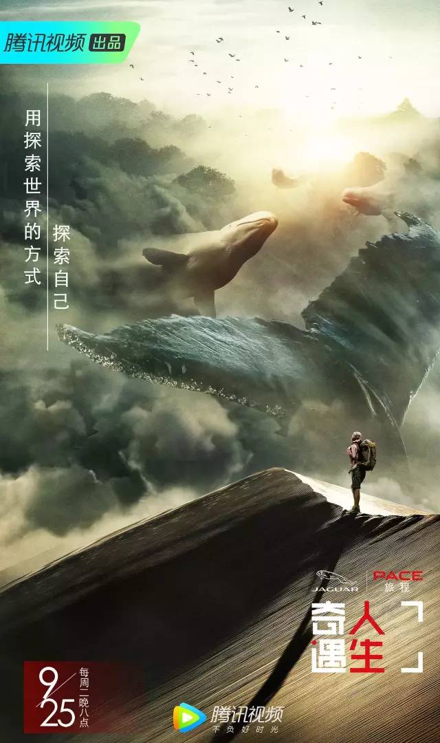 小巷中的独特风味探索之旅,位面猎奴最新动态揭秘