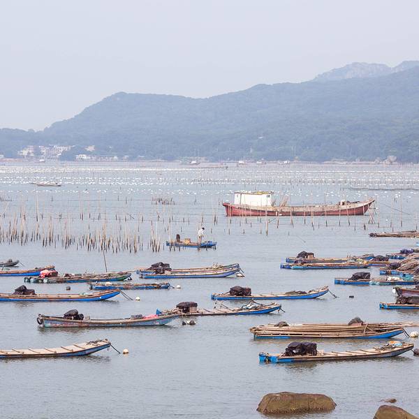 汕头南澳岛最新旅游指南及资讯更新