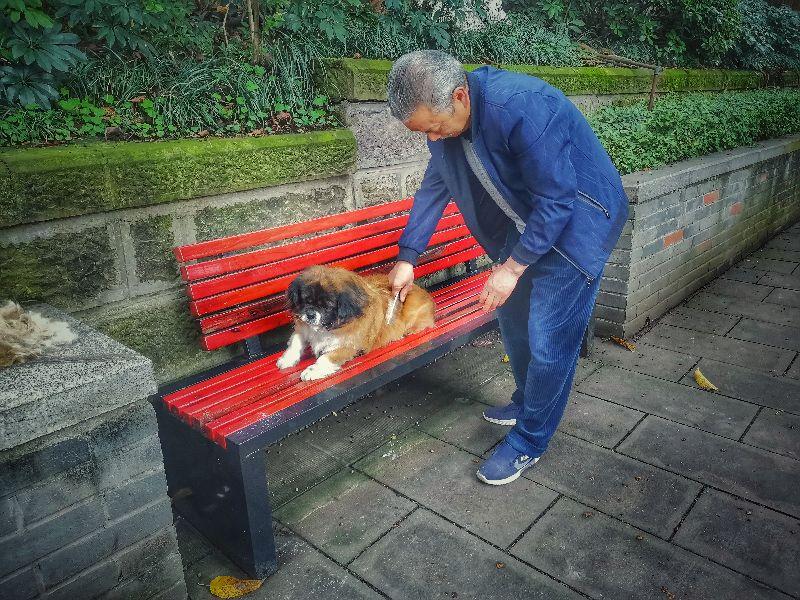 东风车最新款,小巷深处的惊喜发现