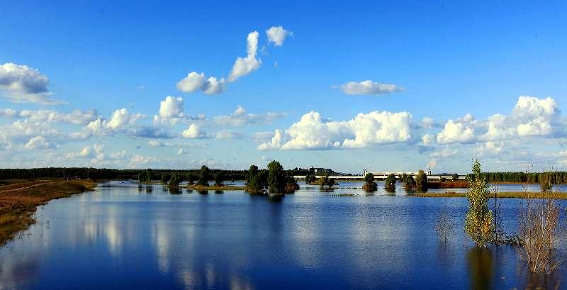 最新发展理论,心灵与自然的完美交融之旅