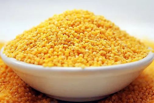 小米外最新款,小巷美食探索之旅,隐藏宝藏大揭秘