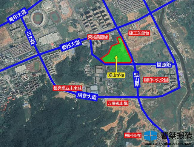 雁江最新疫情动态,多方观点分析与个人立场阐述