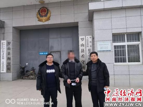 北京回信阳最新动态,深度解读与观点阐述