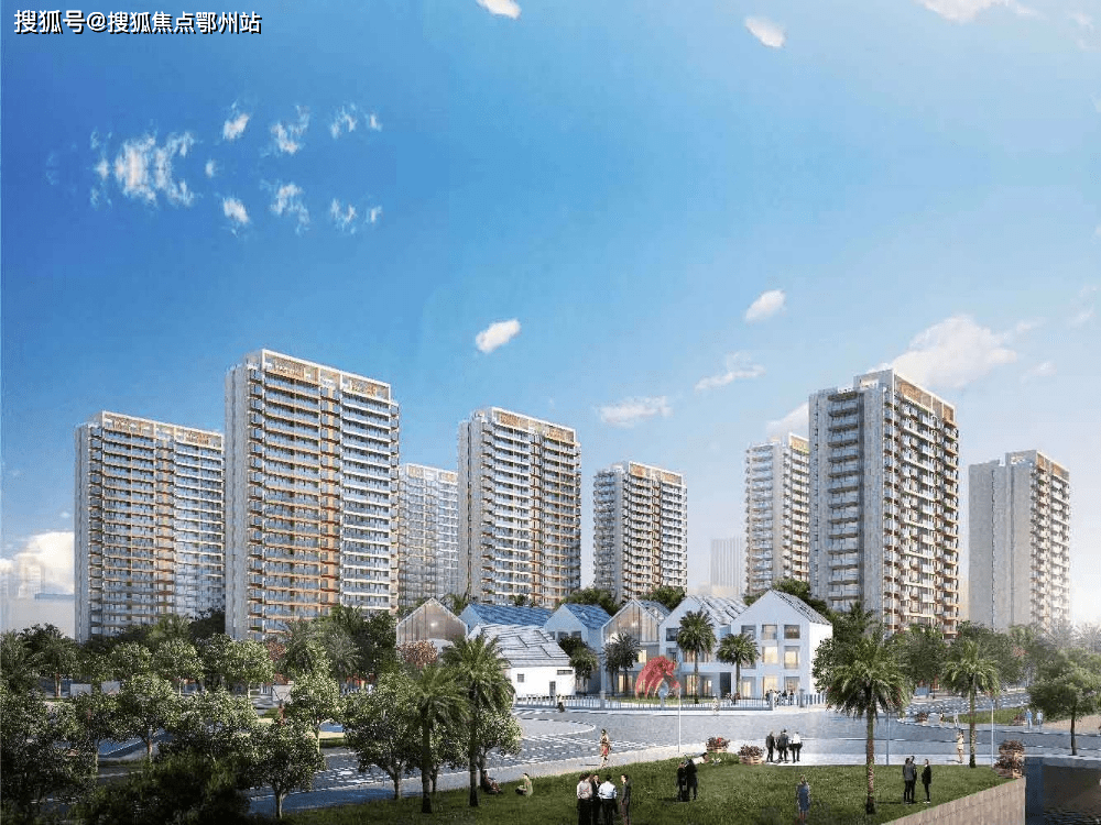 最新钉钉使用指南,几星评价及详细步骤解析