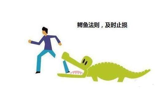 浙江禽流感最新动态,与大自然同行,探寻内心宁静之旅