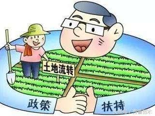 农村建房新政策解读,观点阐述与分析