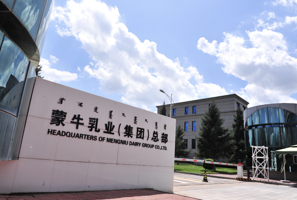 艾华集团揭秘,小巷中的隐藏宝藏,探索独特魅力的特色小店