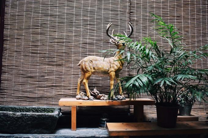 韩国与朝鲜最新动态,小巷深处的独特风情与一家魅力十足的特色小店