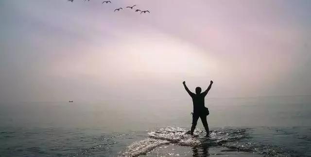 友情之光与家的温暖,新最新传奇的温暖之旅