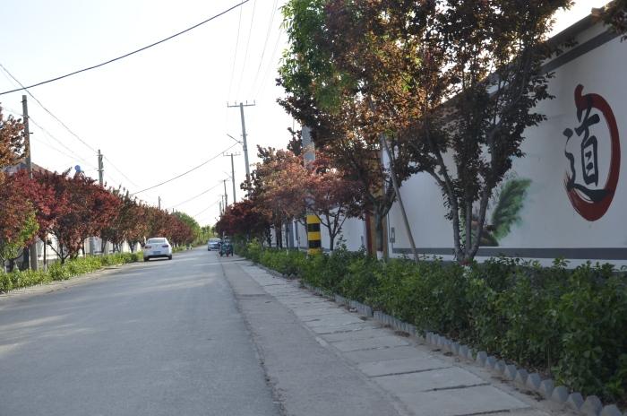 泊头小镇的温馨日常最新消息更新