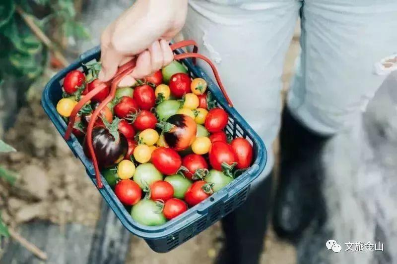 金山地图最新版,重要性及影响分析