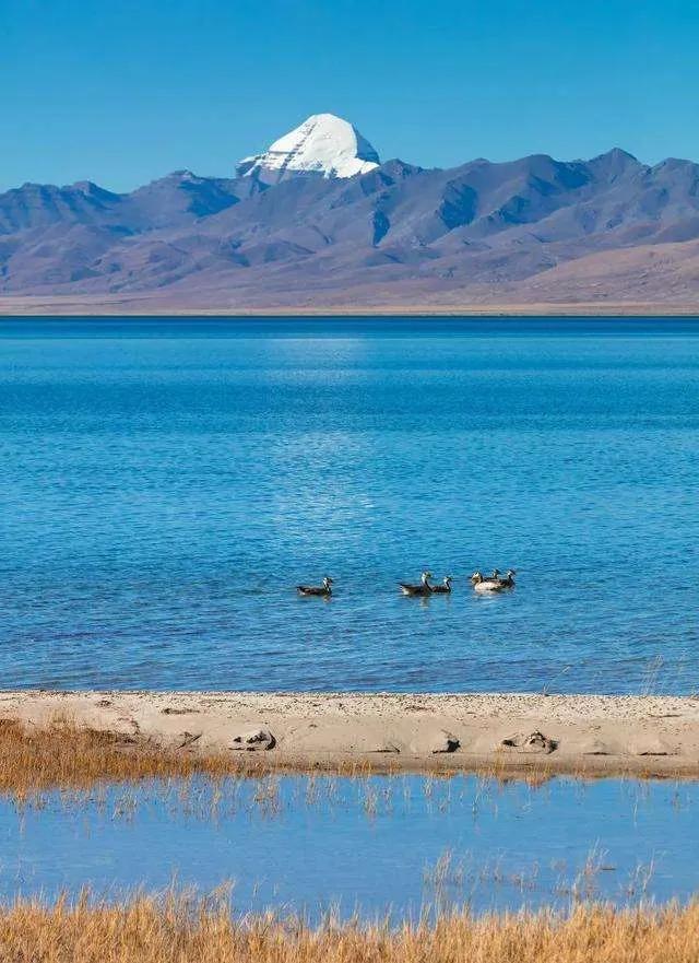 代女而嫁,心灵与自然的美景之旅