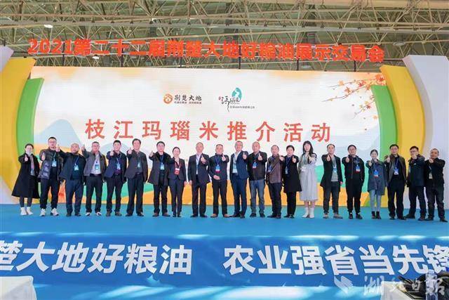 枝江最新招聘观点论述解析