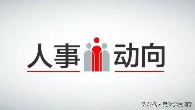 青岛市最新人事任免,探寻小巷美食秘境