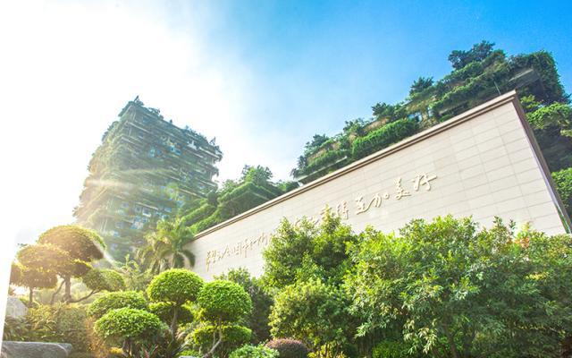 信宜碧桂园最新动态揭秘,小巷深处的特色小店惊喜亮相