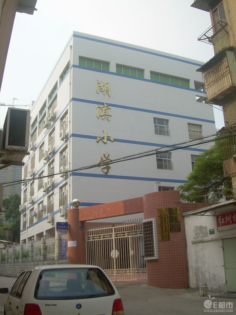 厦门湖边小学最新动态更新,最新消息汇总