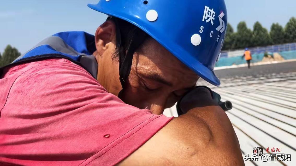 8公斤扎丝最新报价及市场走势与选购指南