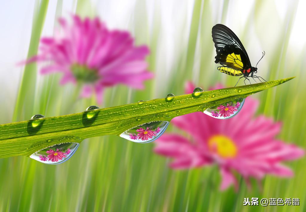 小草之家最新手机地址,小巷探秘的意外发现