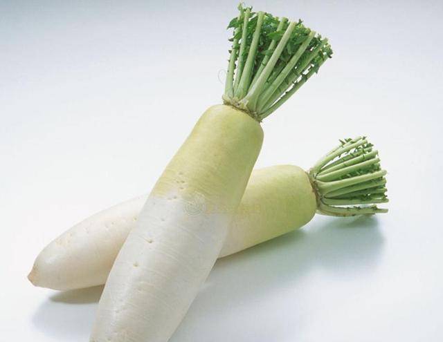 萝卜最新行情,科技革新引领萝卜魅力新纪元