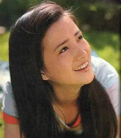 何晴,演艺之路的璀璨之星闪耀光芒