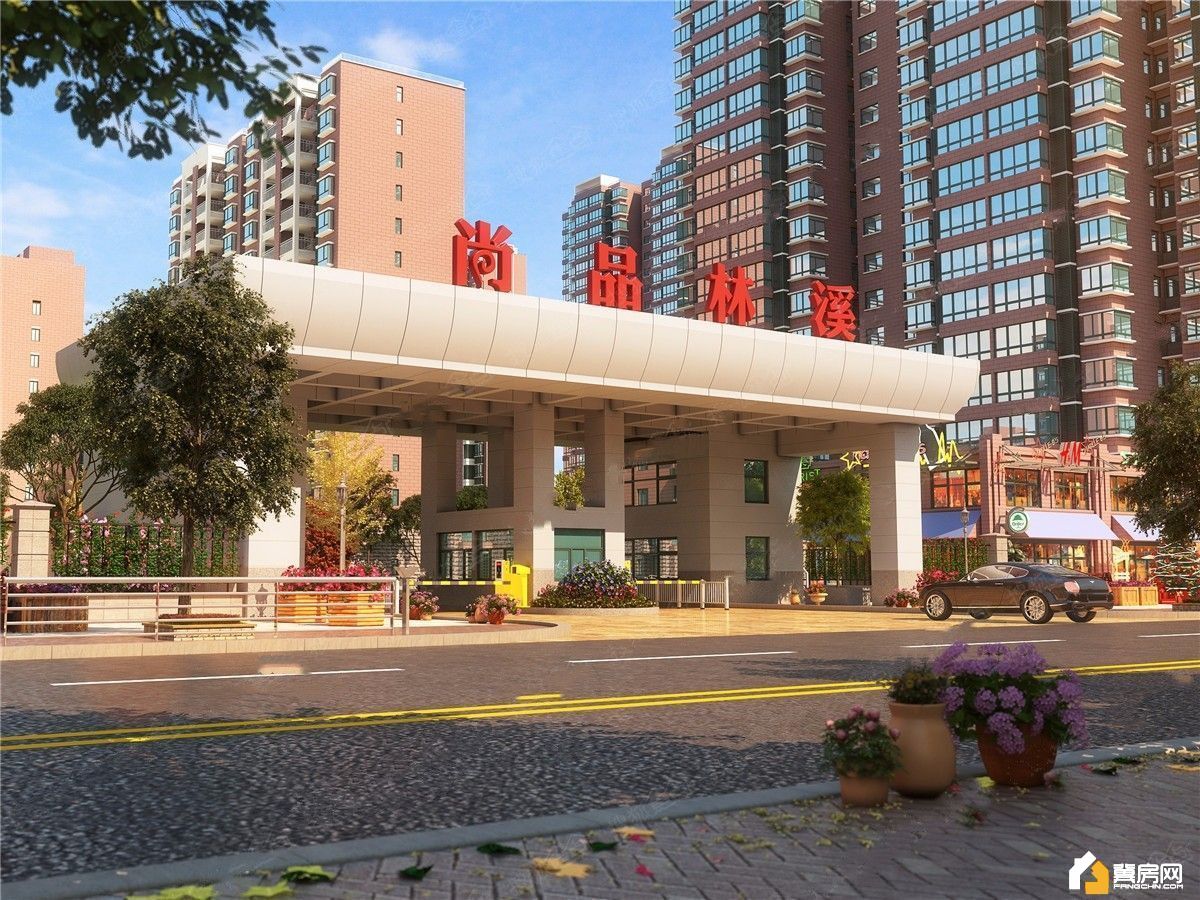 衡水尚品林溪最新动态更新,最新消息与进展