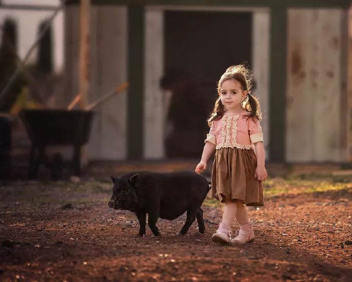 茅山捉鬼最新动态,自信与成就感的源泉,正能量与幽默并存