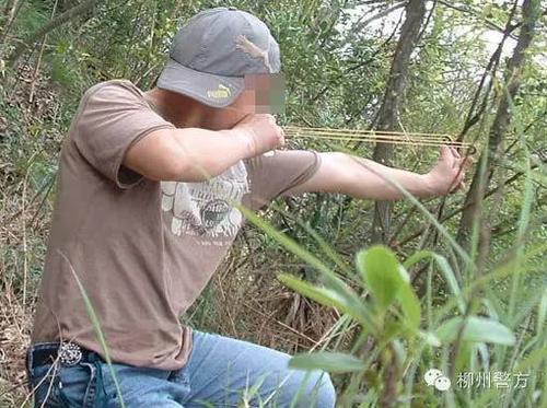 最新弹弓打鸟教程视频,技艺传承与当代影响力的探索