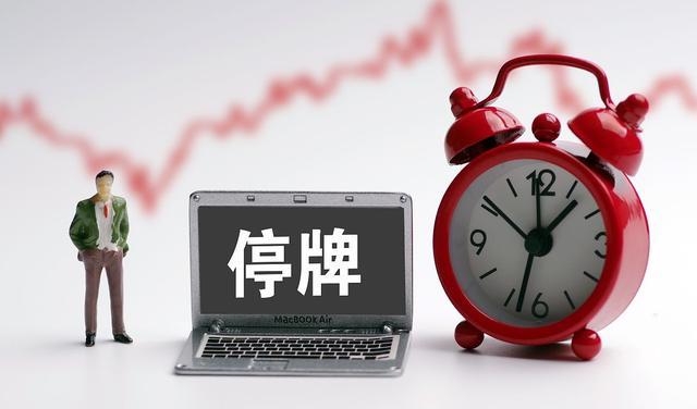 股票停牌详解,秘密与家的温暖之间的探索